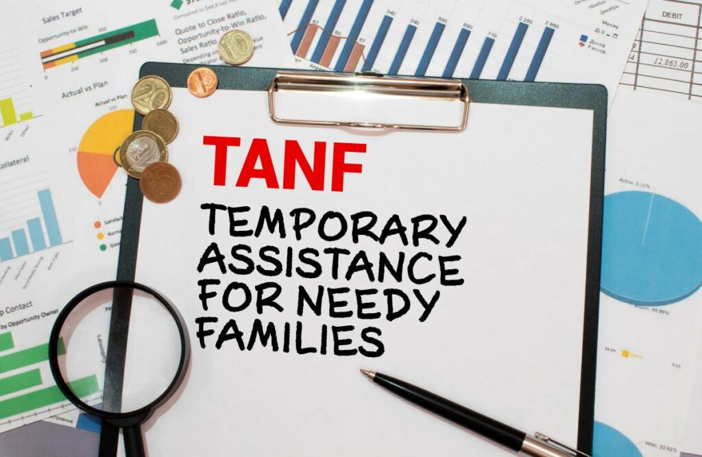 Temporary Assistance for Needy Families (TANF)