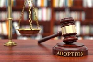 Adoption in the US